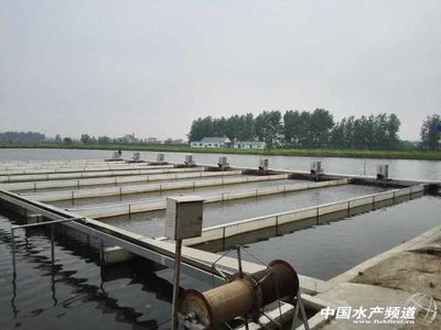 大丰龙辰特种水产养殖专业合作社引进水质智能监控系统 - 综合资讯 - 中国水产频道 | 网聚全球水产华人
